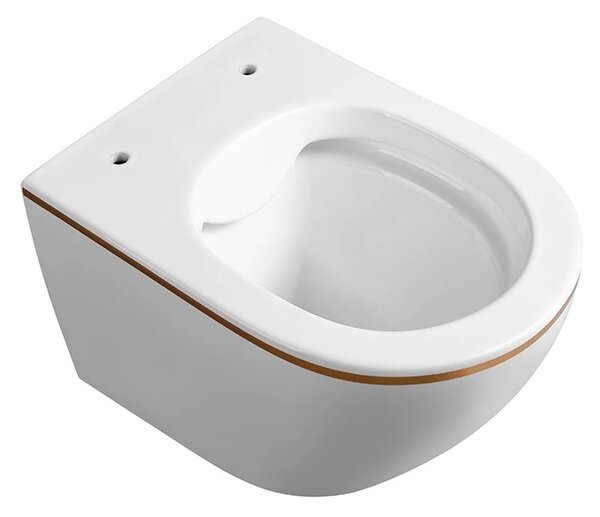 BPS-koupelny Závěsná WC mísa se SoftClose sedátkem MIZU WH GL RIM 03, bílá/zlatý proužek