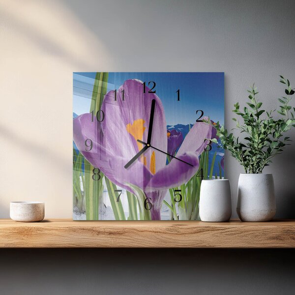 Skleněné hodiny na stěnu Jaro zskc-30x30-00175567