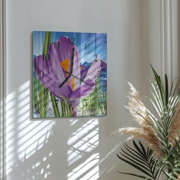 Skleněné hodiny na stěnu Jaro zskc-30x30-00175567
