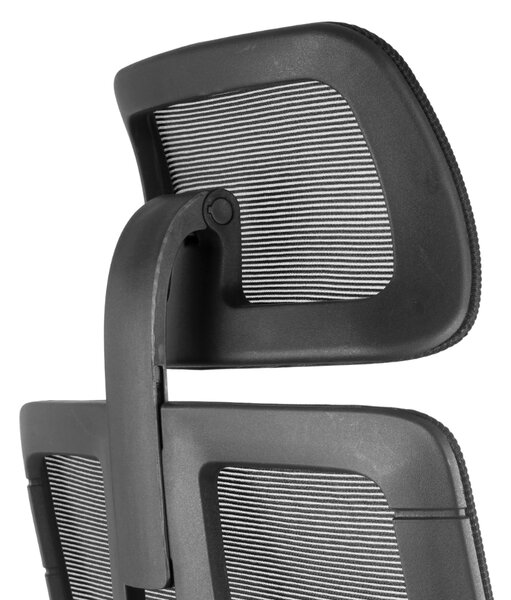 Neoseat SPINO