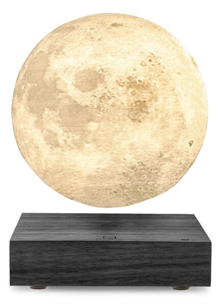 Černá světelná dekorace do zásuvky ø 12 cm Moon – Gingko