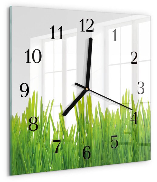 Skleněné hodiny na stěnu Tráva zskc-30x30-00175673