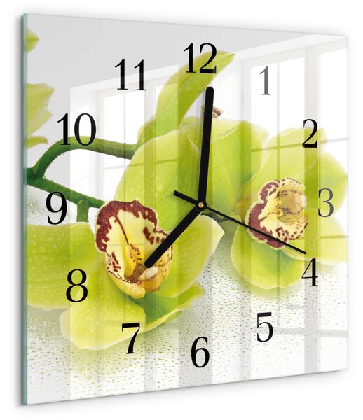 Skleněné hodiny na stěnu Orchidej zskc-30x30-00175689