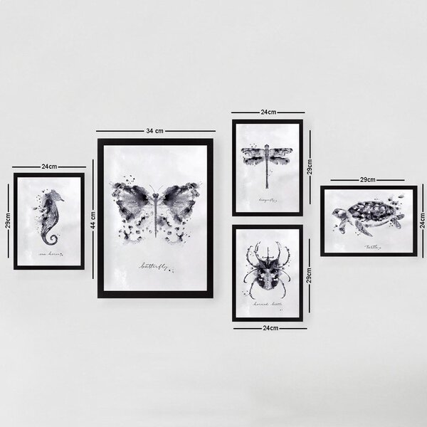Obrazy v sadě 5 ks Butterfly – Wallity