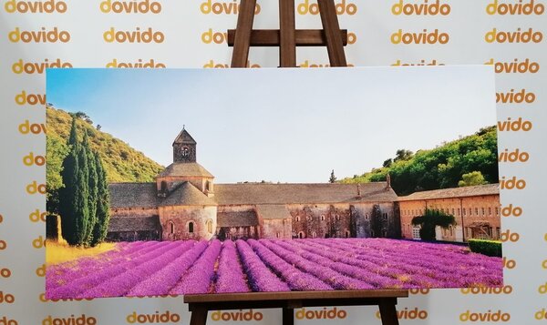 Obraz Provence s levandulovými poli