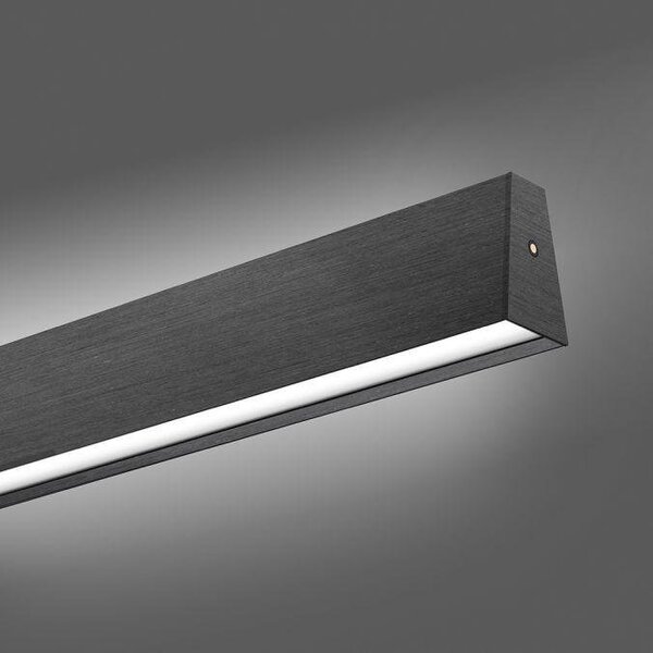 Paul Neuhaus Závěsné LED svítidlo PURE-E-MOTION, 45W, d. 120 cm, 2700-5000K, elektricky nastavitelná výška Barva: Platina