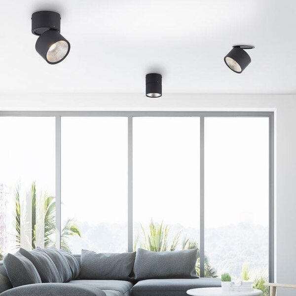 PN 6451-18 Paul Neuhaus LED stropní bodové svítidlo PURE-NOLA černá 1 ramenné otočné stmívatelné krokově stmívatelné 3000K - PAUL NEUHAUS
