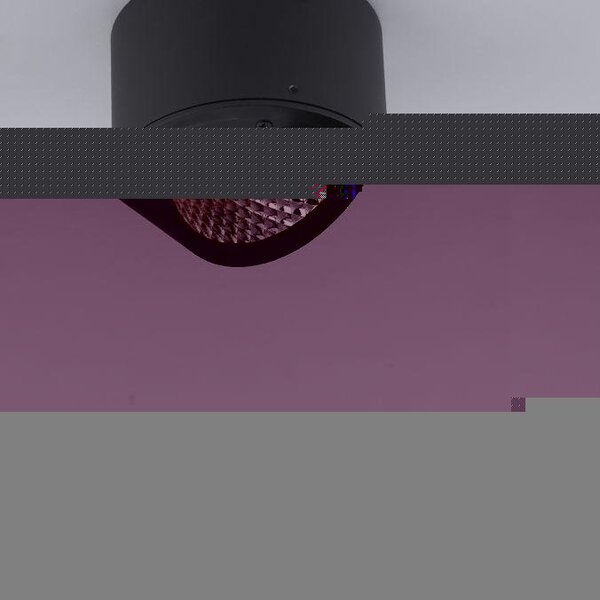 PN 6451-18 Paul Neuhaus LED stropní bodové svítidlo PURE-NOLA černá 1 ramenné otočné stmívatelné krokově stmívatelné 3000K - PAUL NEUHAUS