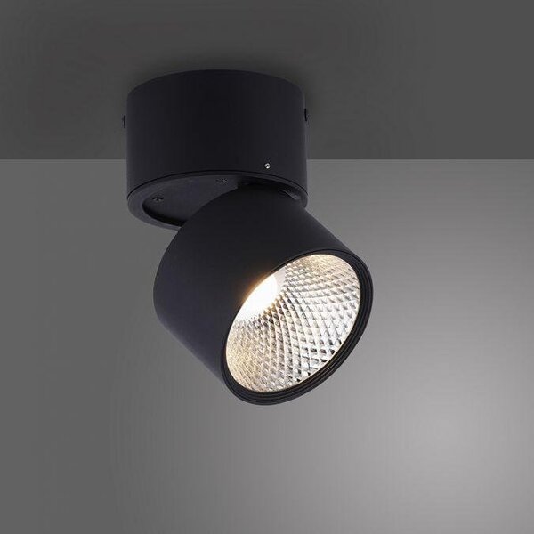PN 6451-18 Paul Neuhaus LED stropní bodové svítidlo PURE-NOLA černá 1 ramenné otočné stmívatelné krokově stmívatelné 3000K - PAUL NEUHAUS