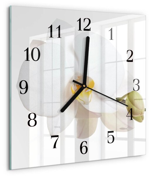 Skleněné hodiny na stěnu Orchidej zskc-30x30-00175879