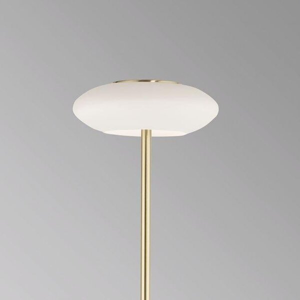 Paul Neuhaus Stojací LED lampa Q-ETIENNE 27,5W, v. 152 cm, Smart Home, CCT 2700-5000K Barva: Černá