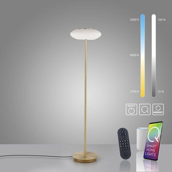 Paul Neuhaus Stojací LED lampa Q-ETIENNE 27,5W, v. 152 cm, Smart Home, CCT 2700-5000K Barva: Černá
