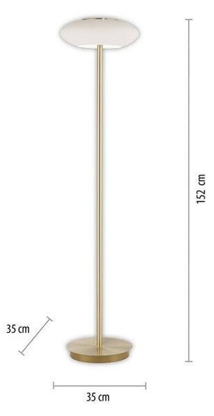 Paul Neuhaus Stojací LED lampa Q-ETIENNE 27,5W, v. 152 cm, Smart Home, CCT 2700-5000K Barva: Černá