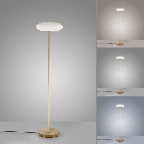 Paul Neuhaus Stojací LED lampa Q-ETIENNE 27,5W, v. 152 cm, Smart Home, CCT 2700-5000K Barva: Černá