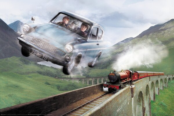 Plakát, Obraz - Harry Potter - Ford