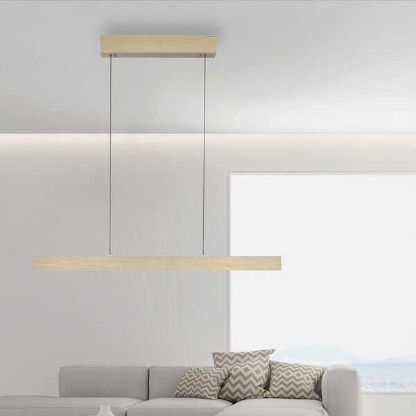 Paul Neuhaus Závěsné LED svítidlo PURE-E-MOTION, 45W, d. 120 cm, 2700-5000K, elektricky nastavitelná výška Barva: Platina