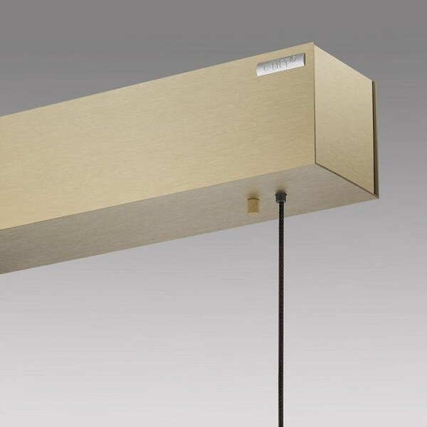 Paul Neuhaus Závěsné LED svítidlo PURE-E-MOTION, 45W, d. 120 cm, 2700-5000K, elektricky nastavitelná výška Barva: Platina