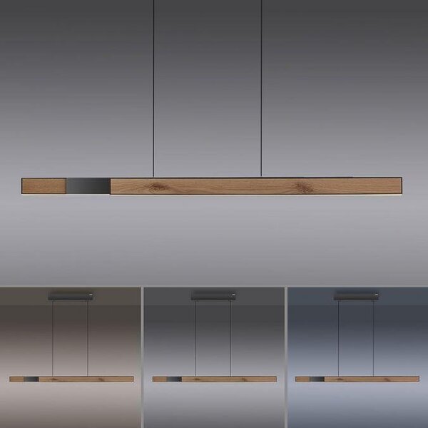 Paul Neuhaus LED závěsné svítidlo PURE-MOTO-RISE elektricky nastavitelná výška + šířka / dotykové 2700-5000K dub/černá perleť, d.200cm
