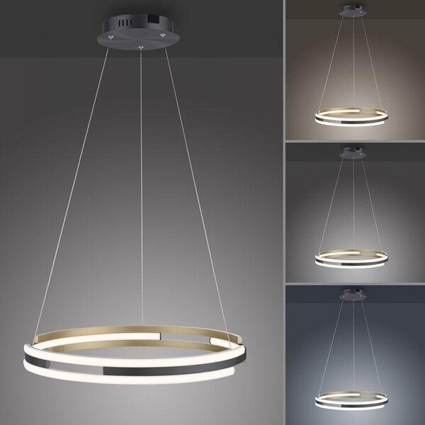 Paul Neuhaus Závěsné LED svítidlo Q-BELUGA, 62W, ø 60 cm, ZigBee, CCT 2700-5000K