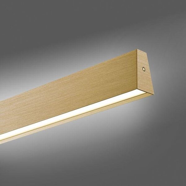 Paul Neuhaus Závěsné LED svítidlo PURE-E-MOTION, 45W, d. 120 cm, 2700-5000K, elektricky nastavitelná výška Barva: Platina