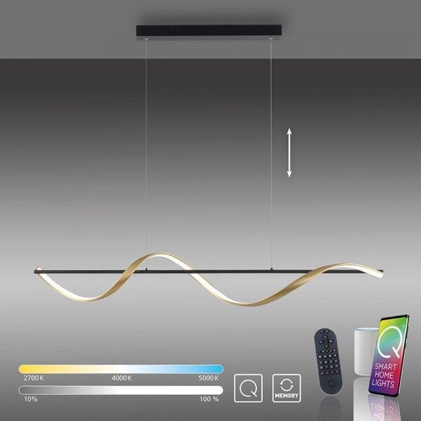 Paul Neuhaus Závěsné LED svítidlo Q-SWING, 28W, d. 121 cm, CCT 2700-5000K Barva: Antracit