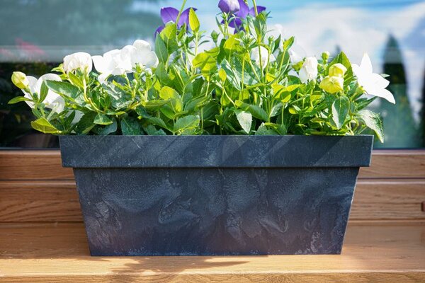 PROSPERPLAST Truhlík CUBE CASE BETON EFFECT antracit 40cm