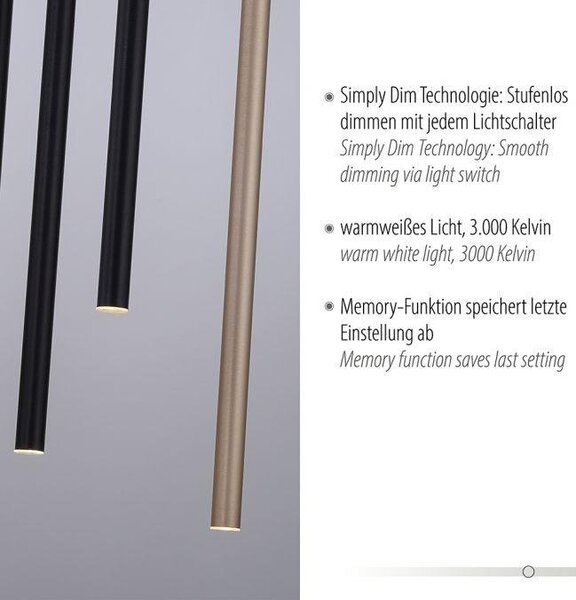 Paul Neuhaus Závěsné LED svítidlo FLUTE, 47W, d. 89 cm, 3000K stmívatelné