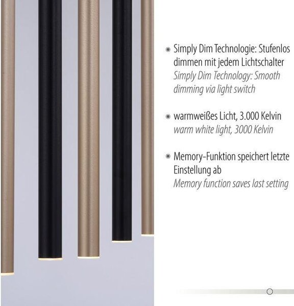 Paul Neuhaus Závěsné LED svítidlo FLUTE, 35W, d. 100 cm, 3000K stmívatelné