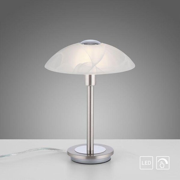 Paul Neuhaus Stolní LED lampa ENOVA, 3W, v. 28 cm, 3000K stmívatelná Barva: Mosaz