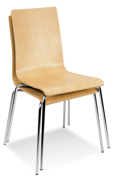 Nowy Styl Latte (Cafe VII) židle bukové dřevo