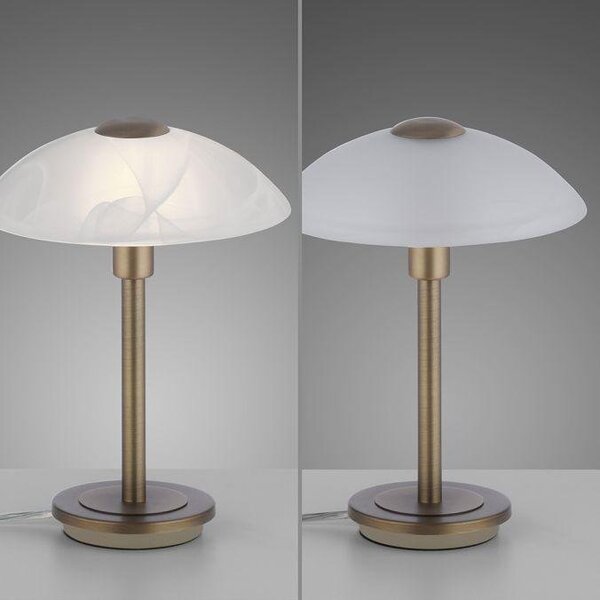 Paul Neuhaus Stolní LED lampa ENOVA, 3W, v. 28 cm, 3000K stmívatelná Barva: Mosaz