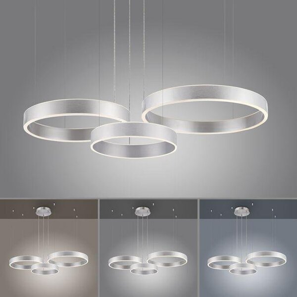 Paul Neuhaus Závěsné LED svítidlo SCULLI, 60W, d. 110 cm, CCT 2700-5000K
