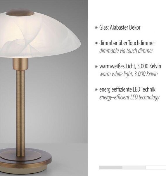 Paul Neuhaus Stolní LED lampa ENOVA, 3W, v. 28 cm, 3000K stmívatelná Barva: Mosaz