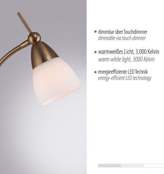 Paul Neuhaus Stojací LED lampa PINO, 3W, v. 163 cm, 3000K stmívatelná, dotykový stmívač Barva: Retro mosaz