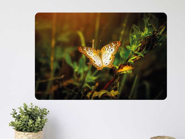 FUGU Motýl - přemístitelný plakát samolepicí