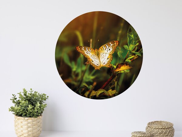 FUGU Dekorace na zeď Motýl - přemístitelný kruh Rozměr: Malý kruh 41 cm