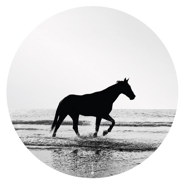 FUGU Dekorace na zeď Kůň na pláži - přemístitelný kruh Rozměr: Malý kruh 41 cm
