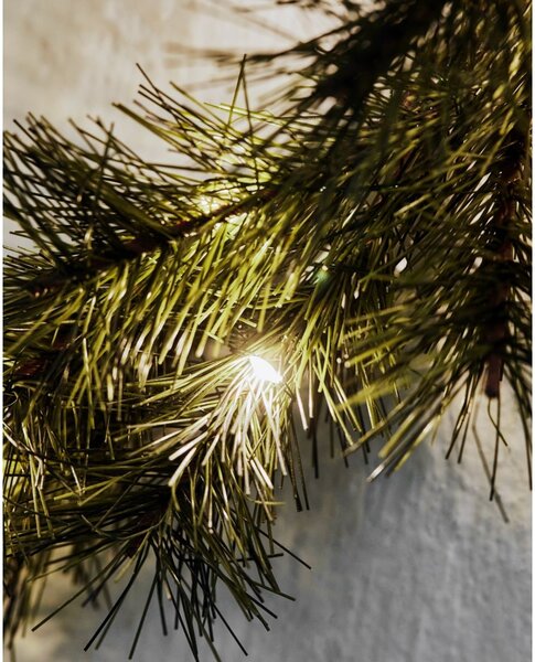 Svítící LED věnec Peuce Nature Ø 40 cm