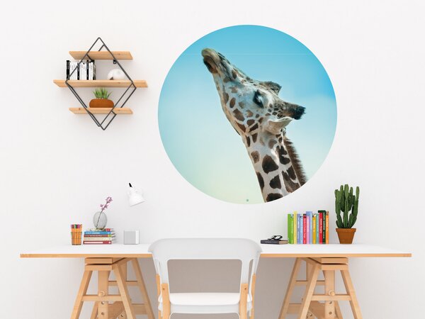 FUGU Dekorace na zeď Žirafa - přemístitelný kruh Rozměr: Malý kruh 41 cm
