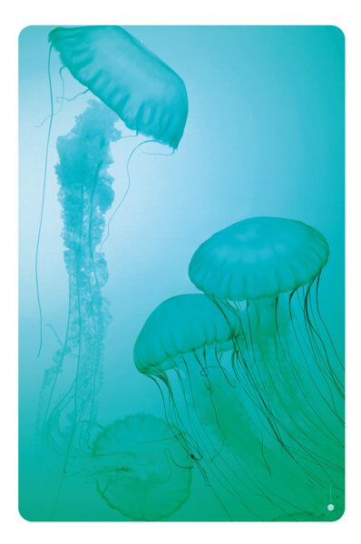 FUGU Eko plakát přelepovací - Zasněné medúzy Podmořský svět Rozměr: L: (š x v) 82 x 126 cm