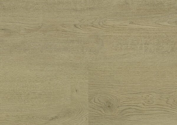WINEO 400 wood L Plain oak beige DB281WL - 3.89 m2