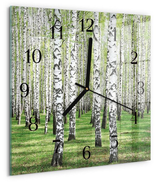 Skleněné hodiny na stěnu Bříza zskc-30x30-00176276