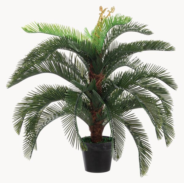 Umělá rostlina Palma Cycas