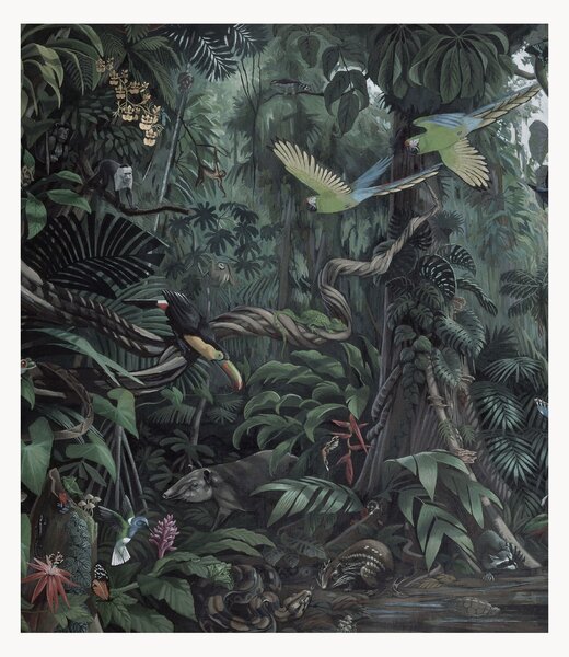 Vliesová tapeta Tropical Landscapes