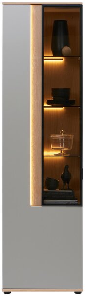VITRÍNA, světle šedá, 60,6/213,1/42 cm Dieter Knoll - Kredence a vitríny