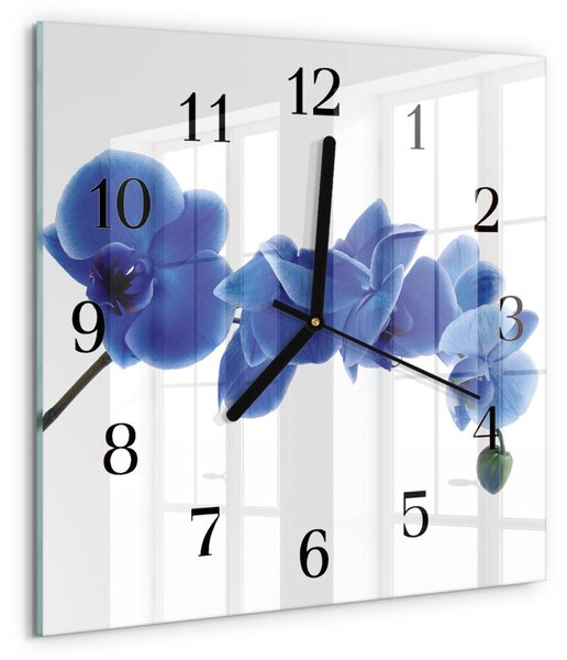 Skleněné hodiny na stěnu Orchidej zskc-30x30-00176384