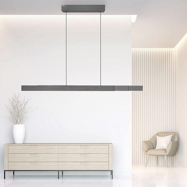 Paul Neuhaus LED závěsné svítidlo PURE-MOTO-RISE elektricky nastavitelná výška dotykový vypínač 2700-5000K platina, d.200cm