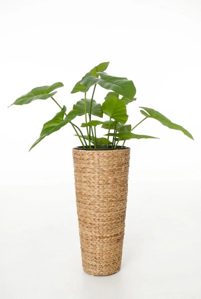 Květináč CLASSIC ROUND, vodní hyacint, výška 60 cm, natur