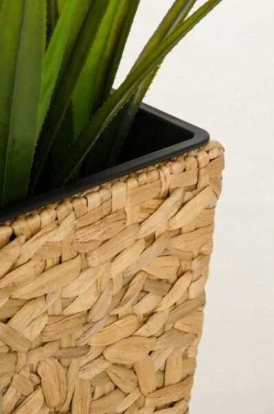 Květináč WILD, vodní hyacint, výška 60 cm, natur