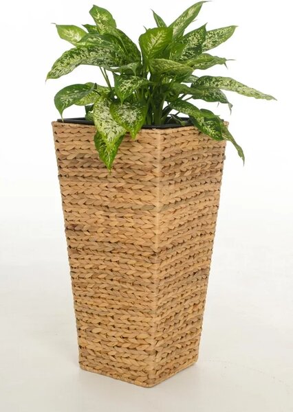 Květináč ASIA, vodní hyacint, výška 60 cm, natur